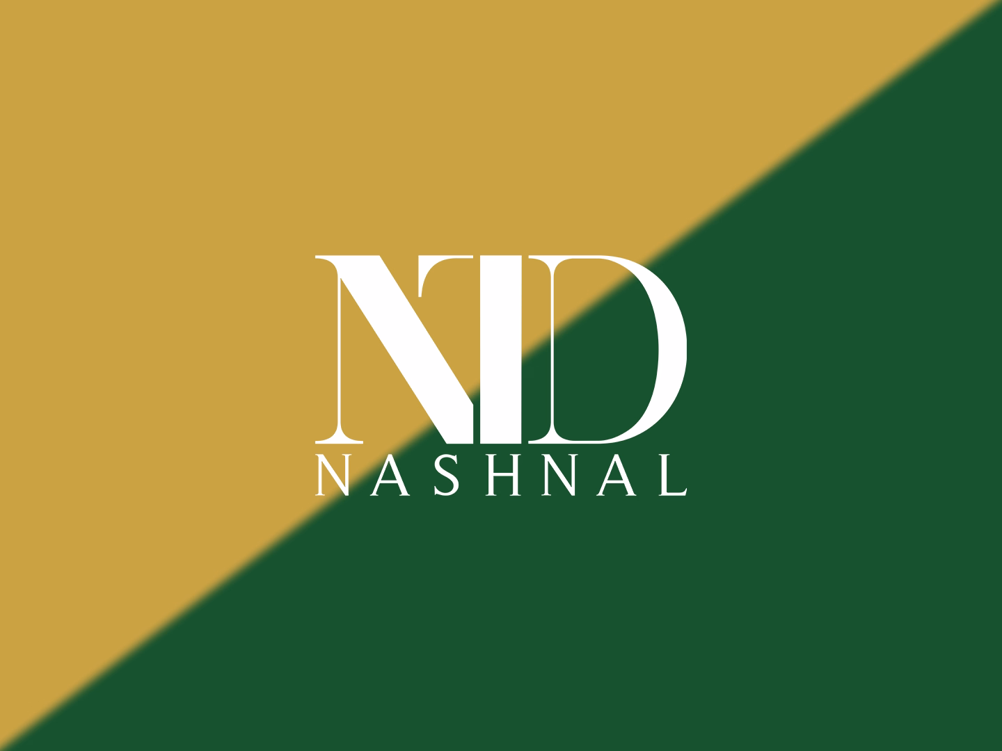 Nashnal social media project